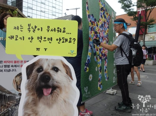 동물자유연대, 거리로 나간 개식용근절 캠페인 '꽃으로 채워진 개'