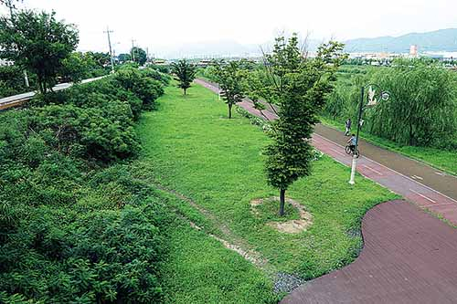 울산 중구, 애견 놀이터 조성