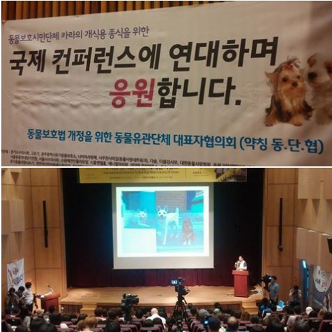 동물보호시민단체 카라, 개식용 종식을 위한 국제컨퍼런스 개최