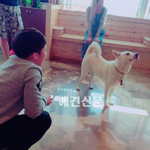 여자 유도 정보경 은메달, 강아지와 함께 다정한 일상 '이 정도 일 줄'