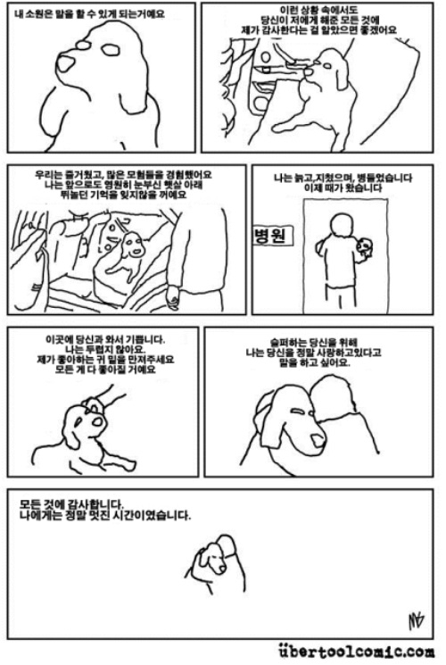 애견인 울리는 만화 "내 소원은…"