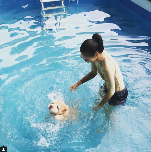 이영진, 반려견과 신나는 물놀이 "으이그 살겠다고"