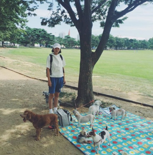 조윤희, 반려견들과 평화로운 나들이 "오랜만에 다 함께"