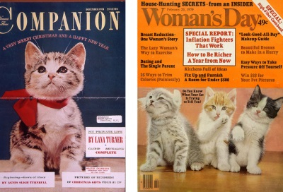 70년동안 고양이 사진만을 찍어온 95세 포토그래퍼