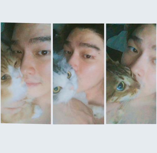 윤균상, 반려묘에 '쪽' 뽀뽀하며 다정다감 일상