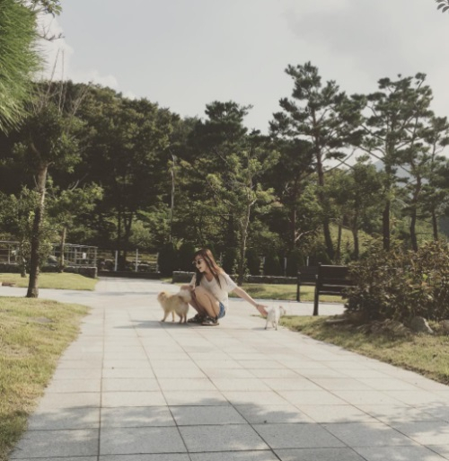 임수향, 반려견과 평화로운 산책 중 "강형욱선생님 동영상 강추합니다"