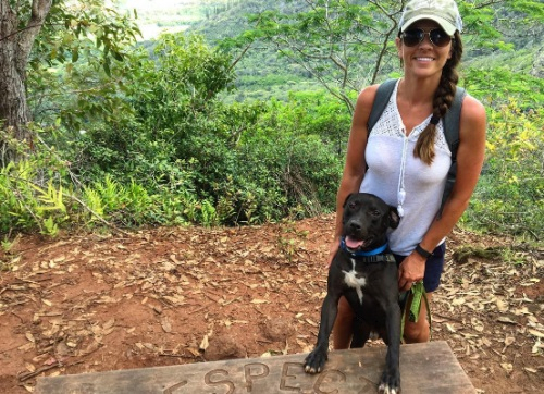 하와이에는 유기견들의 섬 '카우아이'가 있다