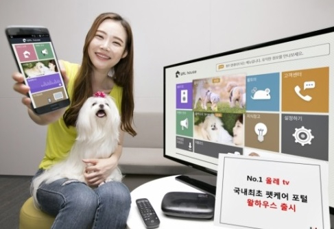 [반려동물 시장① 미국] 개들도 TV를 본다