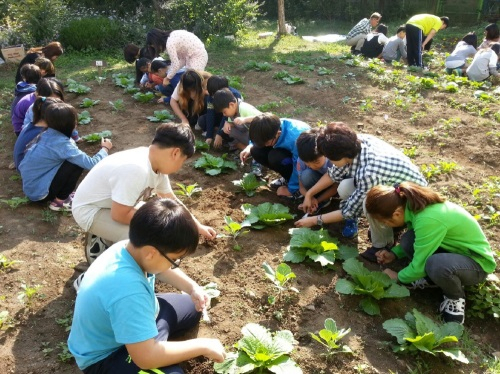 남양주시, 도시농업 마스터가드너 수료 및 학교텃밭 활동 진행