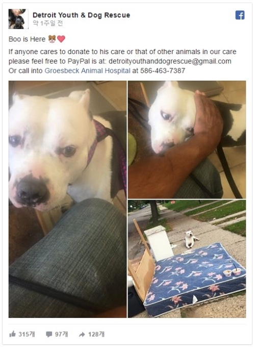 주인의 경제사정이 어려워지면 반려견은 어떻게 될까