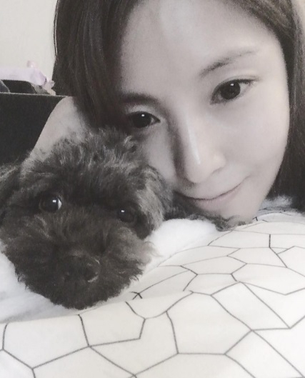 보아, 이불 위 반려견과 닮은 꼴 인증 '붕어빵'