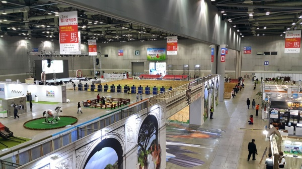 [현장 스케치] 2016 말산업박람회...포니(PONY) 보러오세요.