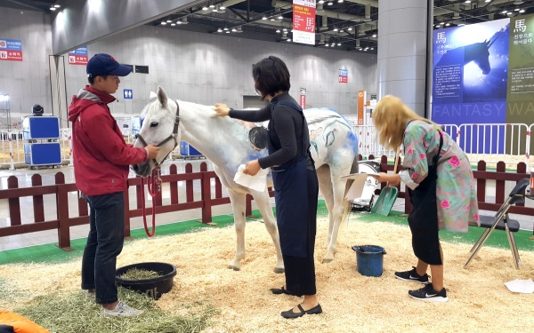[현장을 가다] 도심속에서 말(馬)과 만나보세요... 2016 말산업박람회 오픈