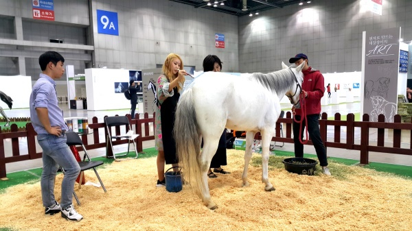 [현장 스케치] 2016 말산업박람회...포니(PONY) 보러오세요.