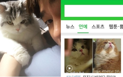 윤균상, 네이버 포털에 올라온 반려묘 사진 자랑 "집사겸 매니져 융귱상"