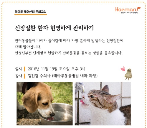 해마루케어센터, '신장질환 환자 현명하게 관리하기' 19일 개최