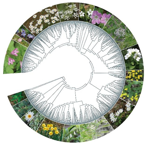 국립생물자원관, 식물 유전자 DNA바코드 시스템 구축