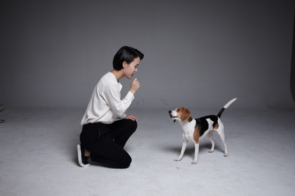 [펫을 부탁해] 강아지훈련 중 산책활동이 중요한 3가지 이유﻿