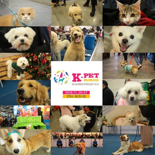 '대한민국펫산업박람회(K-Pet Fair)' 역대 최대 관람객 방문