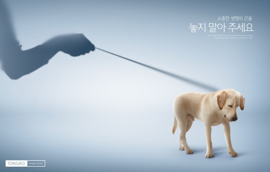 [분석] 반려동물병원 종사자 1만명 시대…의료비 '제각각'