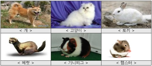 [반려동물 보호·산업육성대책①] 반려동물 산업 어디까지 왔나