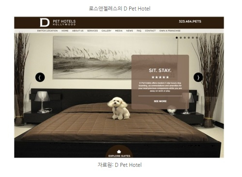 [해외시장 분석] 미국, 반려동물 시장 600억 달러 규모…제품 고급화가 대세