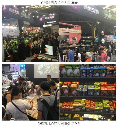 [해외시장 분석] 중국 반려동물용품 시장에 등장한 웰빙·고급화 바람