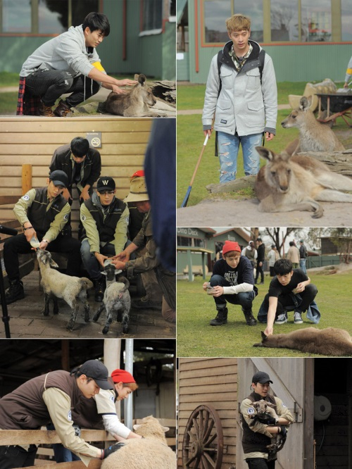 '와일드비트' 2PM, 귀여운 동물들과 좌충우돌 호주 라이프 공개