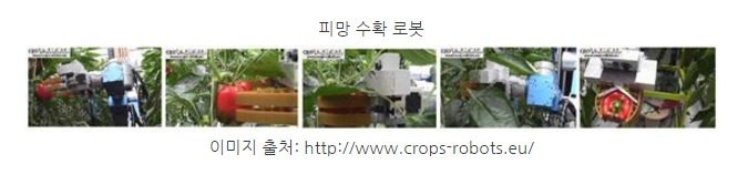 [해외시장 분석] 네덜란드, 전 세계 원예산업 중심지에 서다