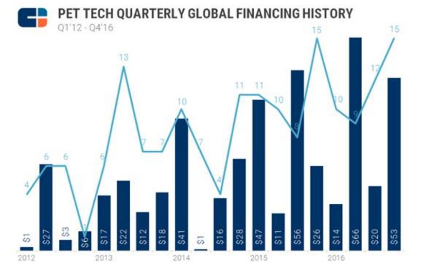 미국 반려동물용품시장 72조 전망…펫테크 기업 투자 급증