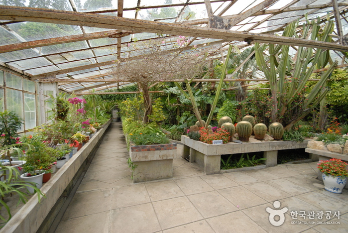 삭막한 겨울, 초록기운을 느낄 수 있는 식물원 3곳