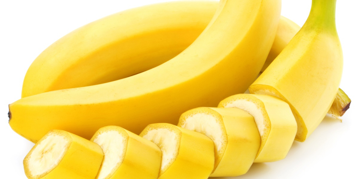 반려견에게 먹여도되는 음식 10가지