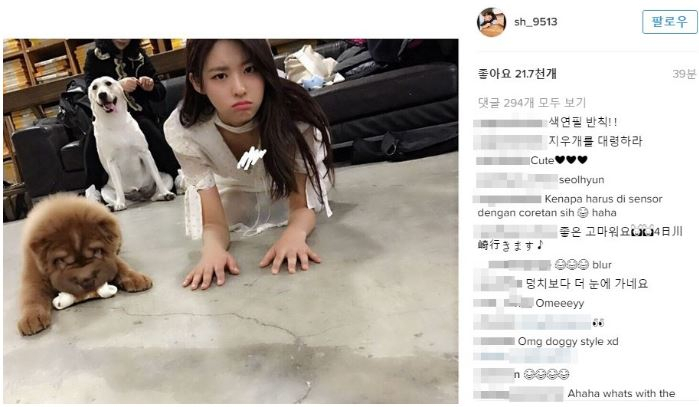 설현, 반려견과 '마리텔' 출현해 걱정 토로