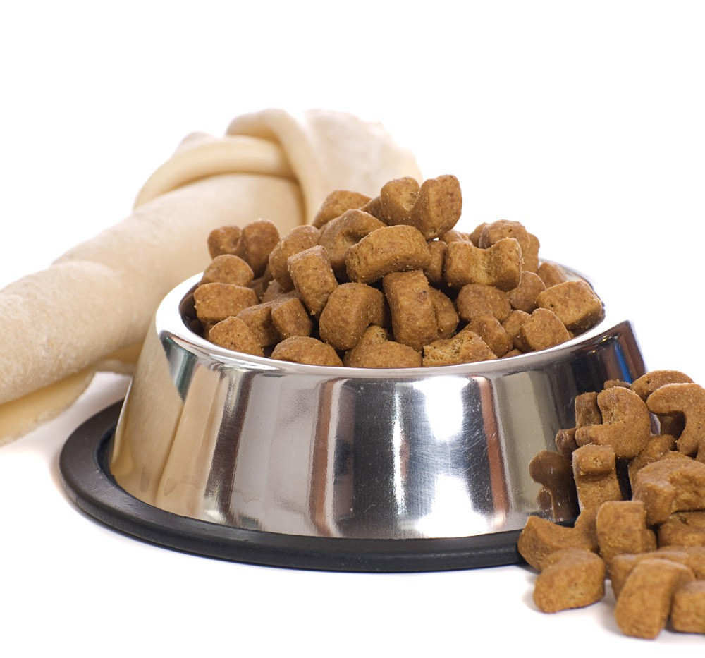 '반려인'이라면 알아야할 '7가지 사료선택법'