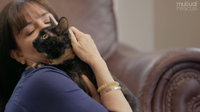 '12살 시한부 소녀와 반려묘'의 감동 스토리