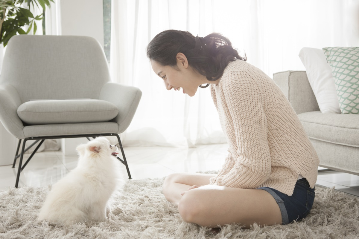 반려견 스트레스 해소법 3가지