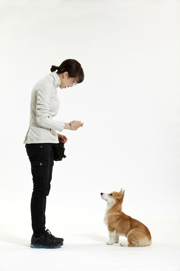 반려견 배변훈련 팁 3가지