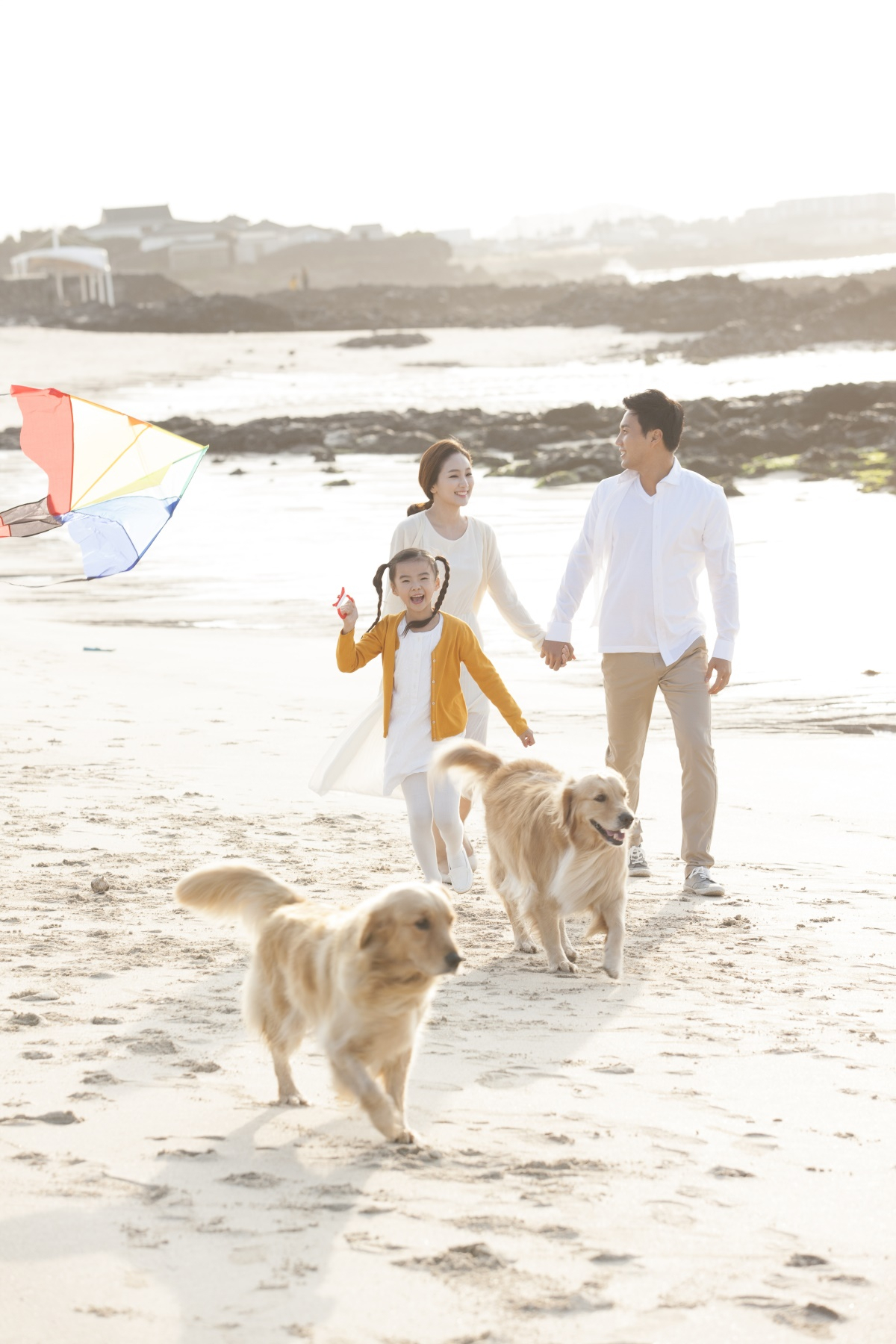 반려견의 3가지 애정표현 방법