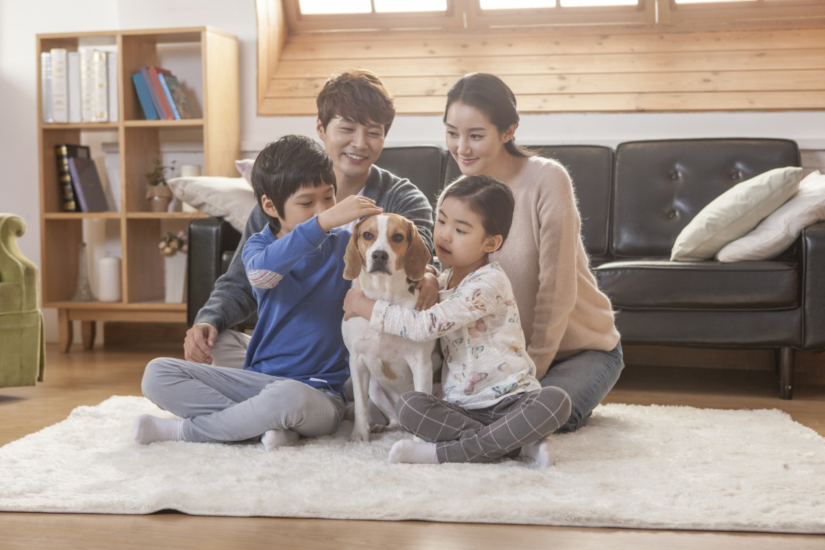 반려동물 키우기 전, 스스로에게 물을 질문 6가지