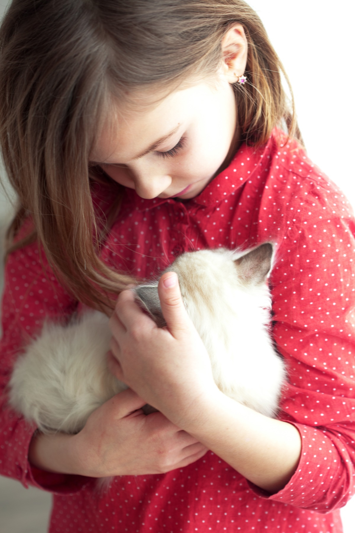 '고양이 집사라면 해본 이상한 행동 12가지'