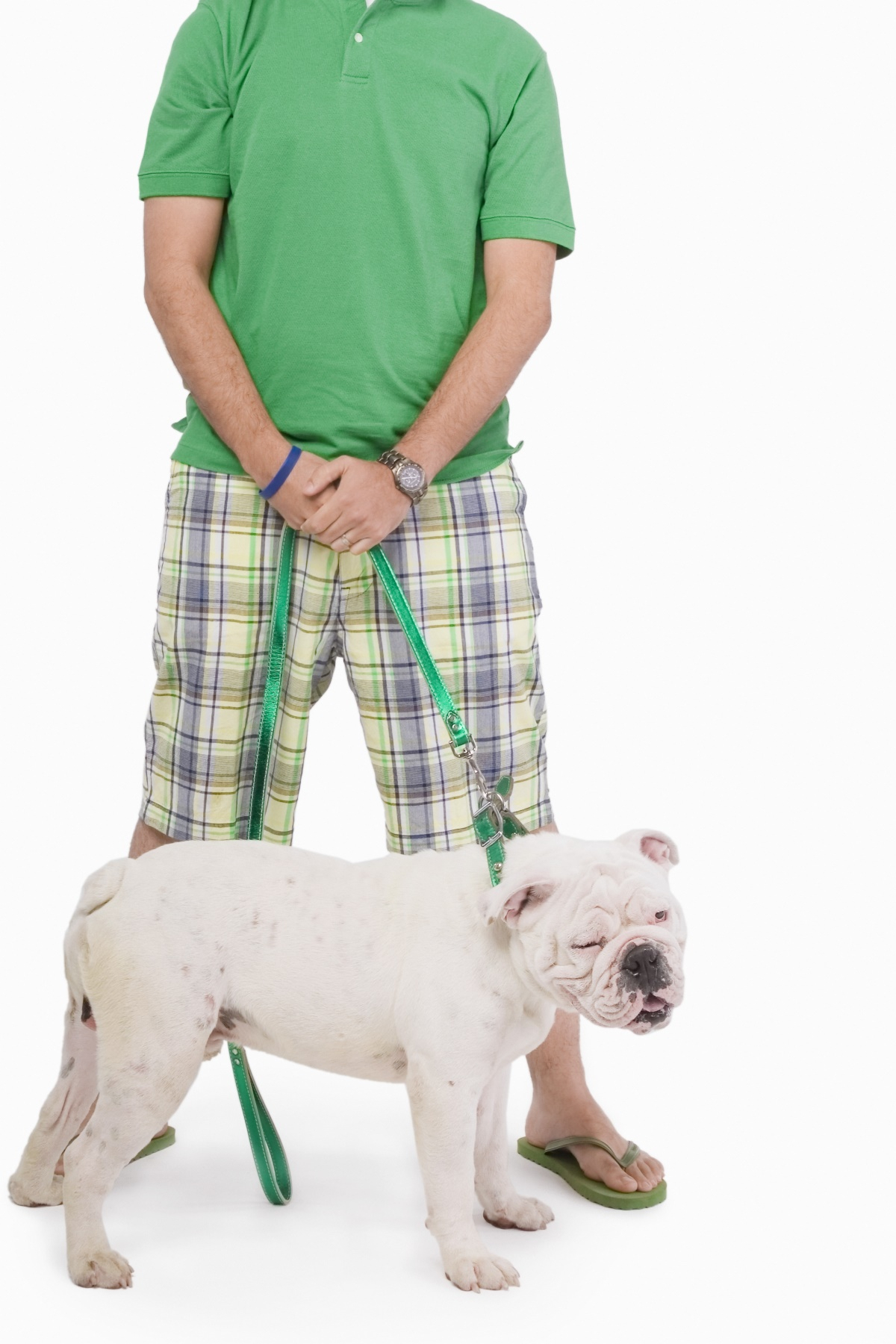 반려견 산책 전 확인해야할 2가지