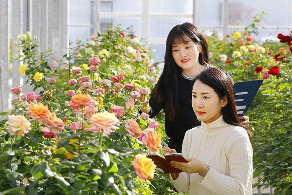 농촌진흥청, '국산 장비 새품종 평가회' 24일 개최