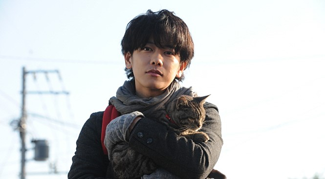 시크한 반려묘에게 푹 빠진 집사를 위한 영화 2선