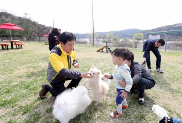 용인시, 기흥호수공원에 국내 최대 반려견 놀이터 조성