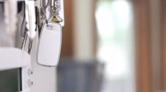 집에 혼자둔 반려동물 돌보는 아이템 잇따라 선보여