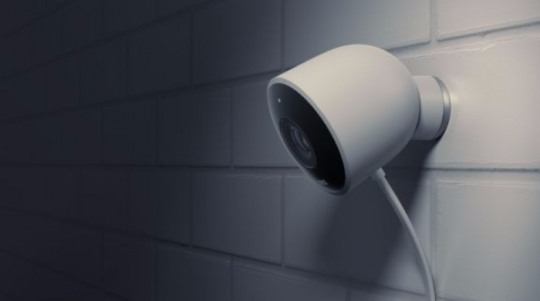 집에 혼자둔 반려동물 돌보는 아이템 잇따라 선보여