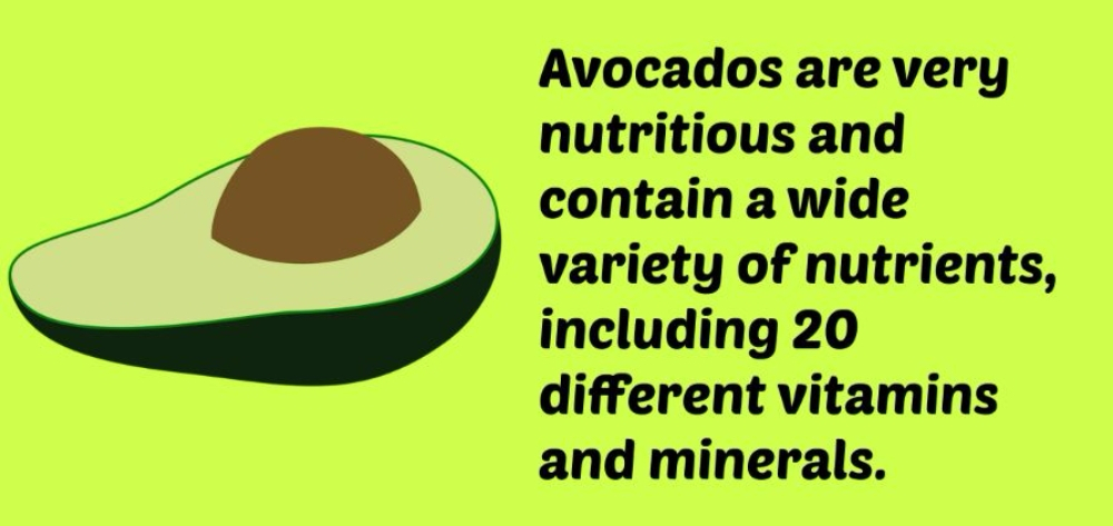 아보카도의 다양한 효능
