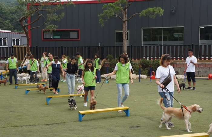 한국반려동물아카데미, 반려동물관리사 자격증 수강생 많이 찾아