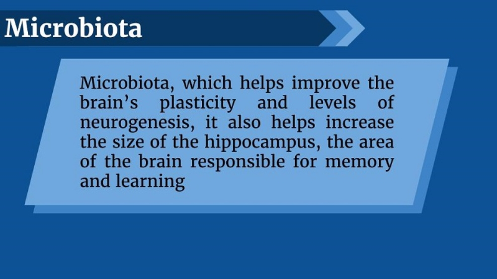 뇌에 좋은 음식이 인간의 의사결정에 미치는 영향