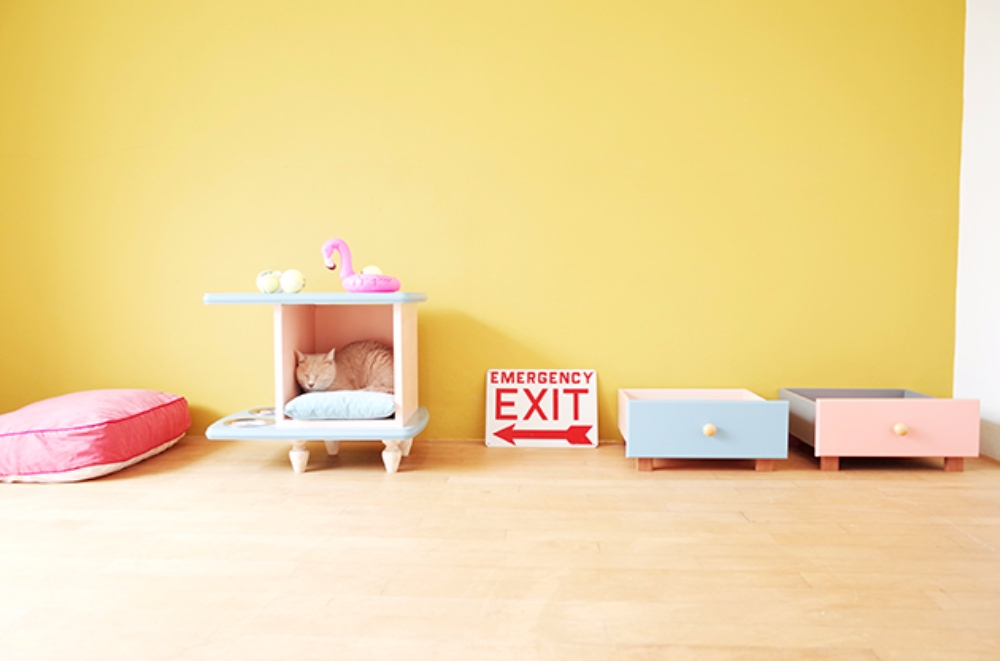 버려지는 가구, 새 단장해 반려동물에게 물려주면 어떨까